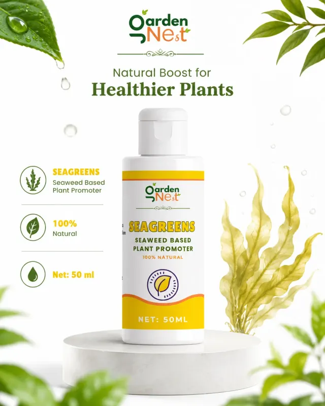 GardenNest Seaweed Liquid Fertilizer for Plants | 50 ml