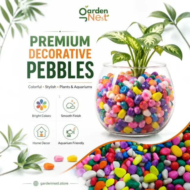 GardenNest Multi Colour Decorative Pebbles for Pots and Gardens