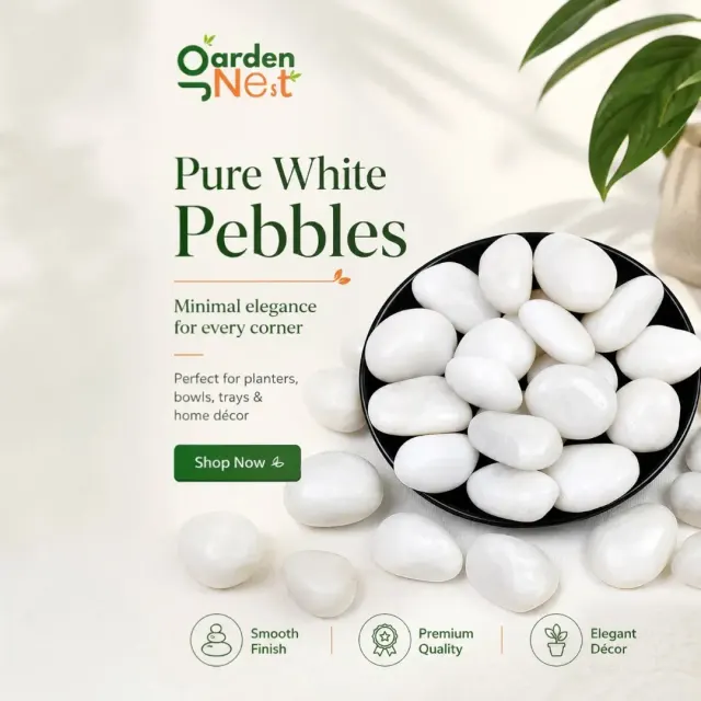 GardenNest White Decorative Pebbles for Pots and Gardens