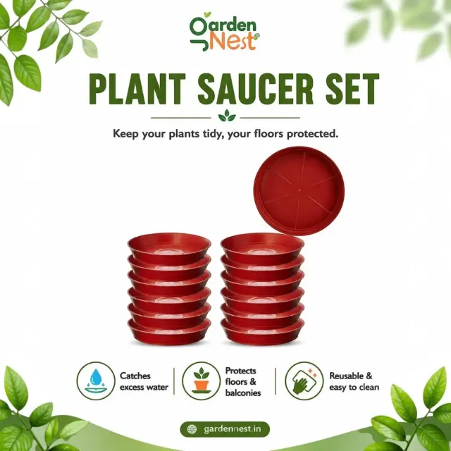 GardenNest 6 Inch Planter Plates | Pot Drip Trays
