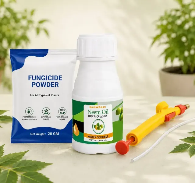 Plant Care