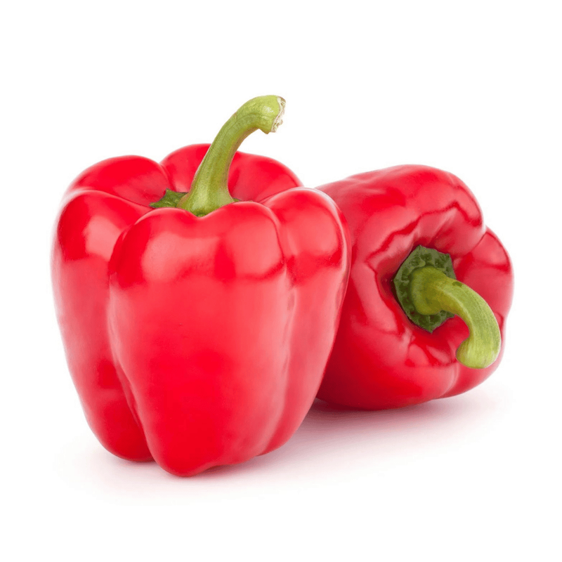 Capsicum-Red-Wonder-Seeds-2.png