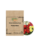 Gardennest NM-Dahlia Variabillis Top Star Beauty Mix Seeds