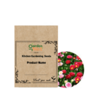 Gardennest NM-Daisy Double Mix (Bellis Perennis) Seeds