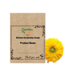 Gardennest NM-Sunflower Teddy Bear (Helianthus) Seeds