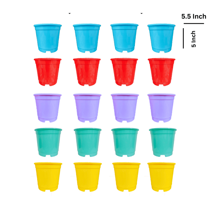 Premium-5-5-Inch-Pot-Set-of-20.png